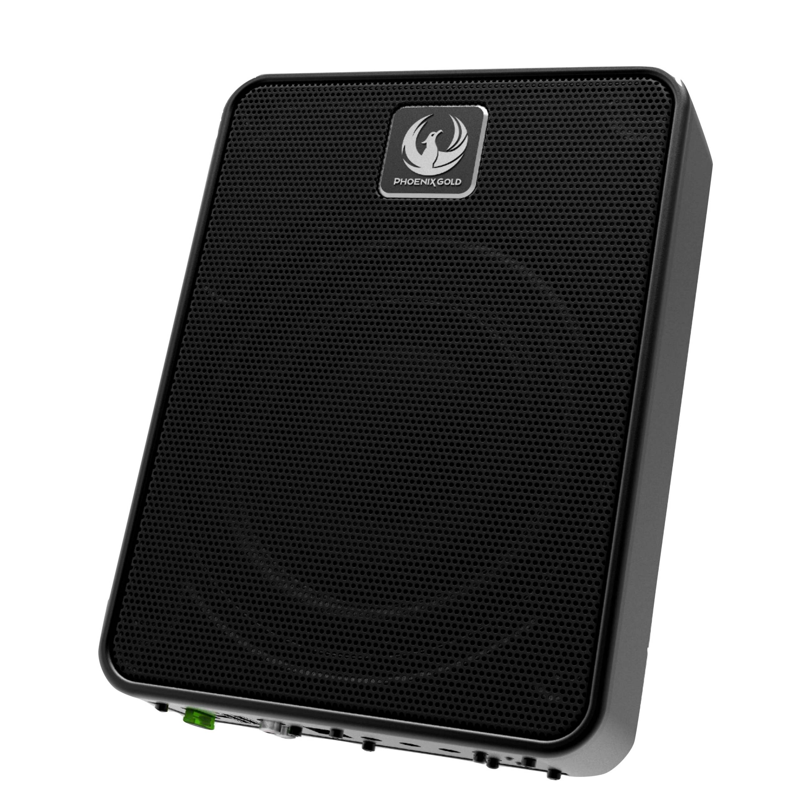 PHOENIX GOLD 8" ACTIVE SUBWOOFER 200W RMS UNDERSEAT PGZB8P